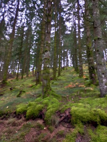 Desassis, Constructeur de Maisons à Millevaches