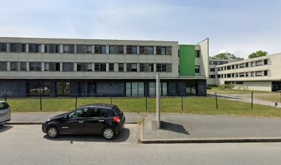 L'Arbre Génia-Logique BE BOIS, Constructeur De Maisons à Saint-Baldoph