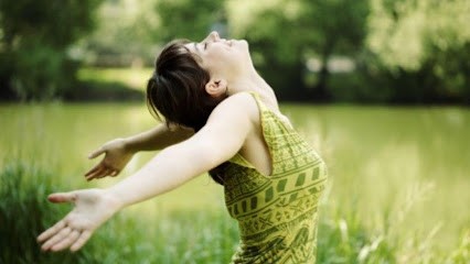 Maisons Joël MADDALENA, Constructeur De Maisons à Meynes