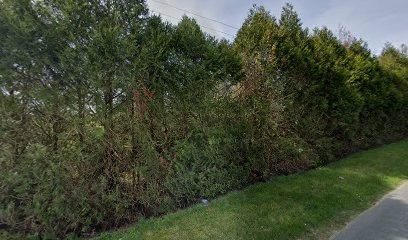 Maisons et Terrains, Constructeur de Maisons à Billy