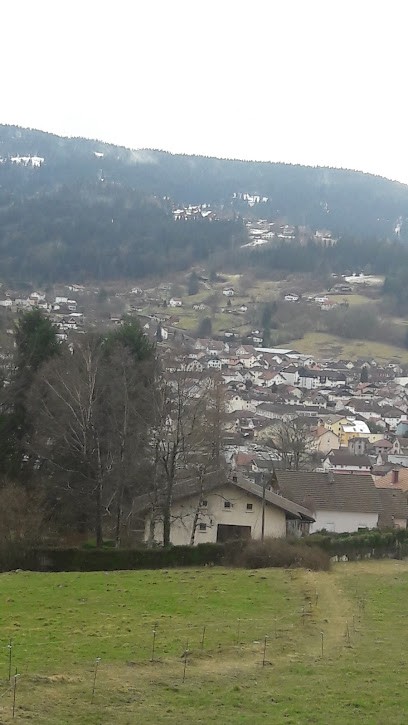 chalet haute couture, Constructeur de Maisons à Gérardmer