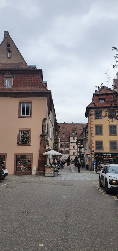 Steel Construction, Constructeur De Maisons à Hessenheim
