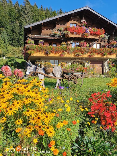 Chalets Daniel Lacroix SARL, Constructeur De Maisons à Bois-d'Amont