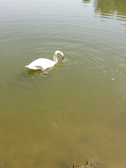 Charpentier menuisier Deteix Christian, Constructeur De Maisons à Chantenay-Saint-Imbert