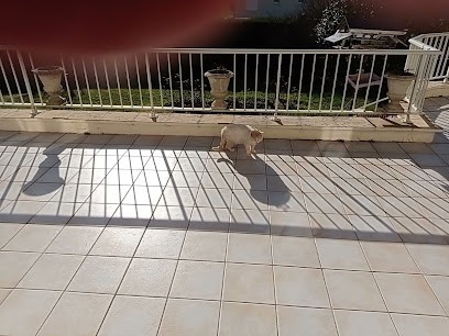 Aquitaine Homes, Constructeur De Maisons à Sainte-Foy-la-Grande