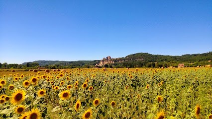 Maison en Dordogne - Naissance Sarl, Constructeur De Maisons à Meyrals