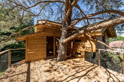 Il était un Arbre, Constructeur De Maisons à Chavelot