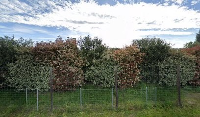 Maisons&Bois, Constructeur De Maisons à Sury-aux-Bois
