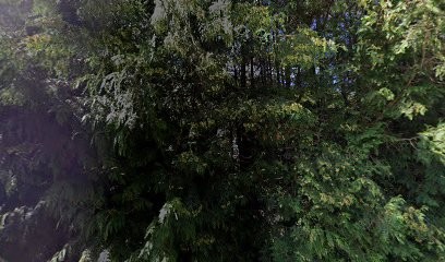 La boutique du Lac chalet Montage, Constructeur De Maisons à La Bresse